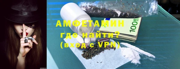 молекула духа Богородицк