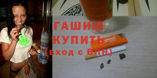 молекула духа Богородицк