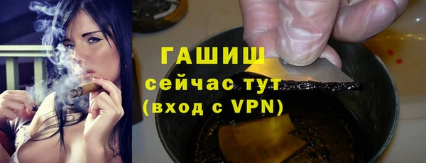 молекула духа Богородицк