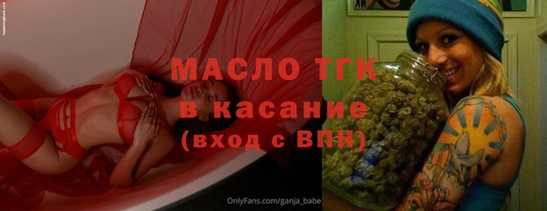 молекула духа Богородицк