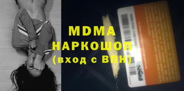 молекула духа Богородицк