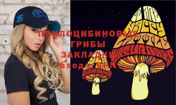 молекула духа Богородицк