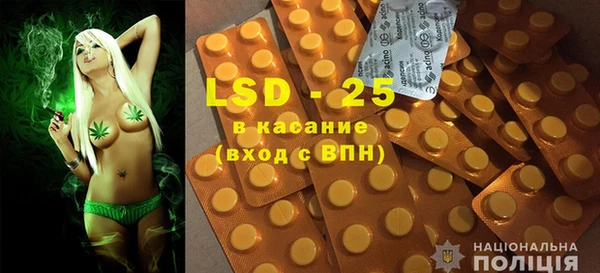 молекула духа Богородицк